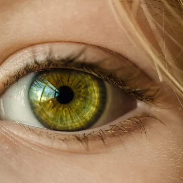 Eyes and surrounding areas